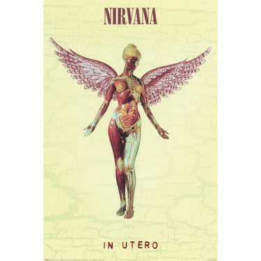 (46) NIRVINA - IN UTERO