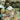 BYRDS - GREATEST HITS - 8719262000988