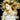 TAYLOR SWIFT - FEARLESS (PLATINUM EDITION) - 0843930021147
