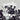 VARIOUS ARTISTS - ECCENTRIC BOOGIE - 0825764750936