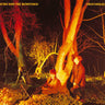ECHO AND THE BUNNYMEN - CROCODILES - 0190295360894